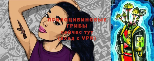 таблы Алзамай